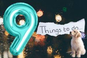 9 Critical Issues You Must Resolve Before Selling Your Home