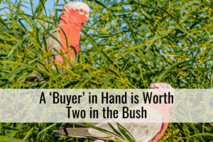 A ‘Buyer’ in Hand is Worth Two in the Bush