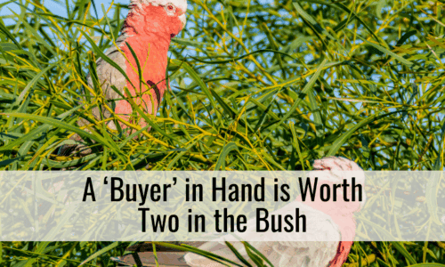 A ‘Buyer’ in Hand is Worth Two in the Bush