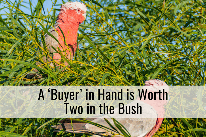 A ‘Buyer’ in Hand is Worth Two in the Bush