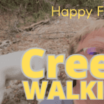 Happy Friday! Join me for some creek walking!