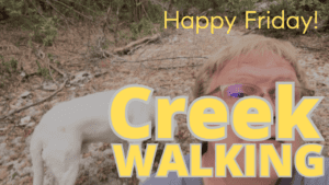 Happy Friday! Join me for some creek walking!