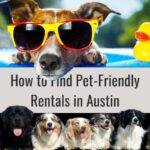 How to Find Pet-Friendly Rentals in Austin: Tips and Tricks