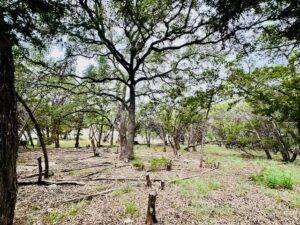 Lot 17 Lakewood Circle Wimberley TX 78676