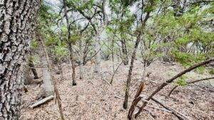 Lot 17 Lakewood Circle Wimberley TX 78676