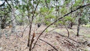 Lot 17 Lakewood Circle Wimberley TX 78676