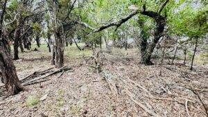 Lot 17 Lakewood Circle Wimberley TX 78676