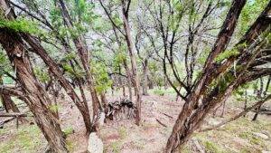 Lot 17 Lakewood Circle Wimberley TX 78676