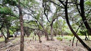 Lot 17 Lakewood Circle Wimberley TX 78676