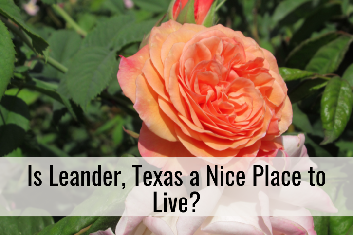 Is Leander, Texas a Nice Place to Live?