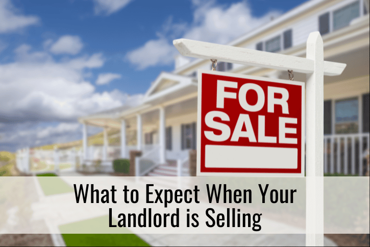 What to Expect When Your Landlord is Selling