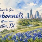 Where to See Bluebonnets Near Austin, TX