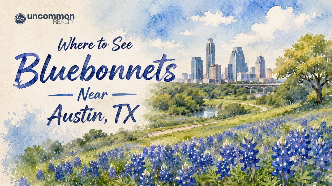 Where to See Bluebonnets Near Austin, TX