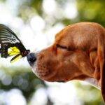 Get Ready to List: Spring is the Perfect Time to Showcase Your Home