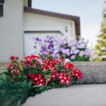 Unlocking Your Home's Potential: Elevating Curb Appeal
