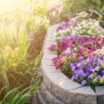 Enhancing Your Home's Curb Appeal Without Breaking the Bank