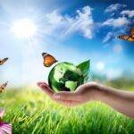 Green Homes Why Eco Friendly Features Matter to Buyers redefine modern living