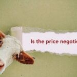 Is the Price Negotiable? | A Buyers Exclusive Resource