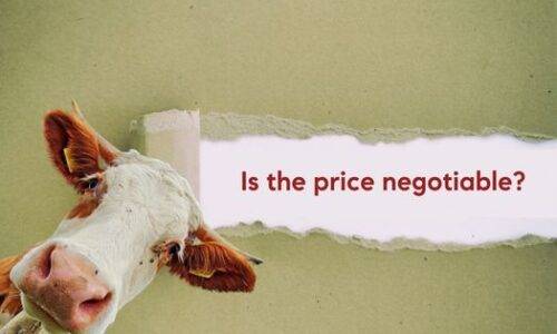 Is the Price Negotiable? | A Buyers Exclusive Resource