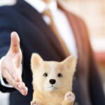 The Crucial Role of Real Estate Agents in Home Purchases: Insights and Trends